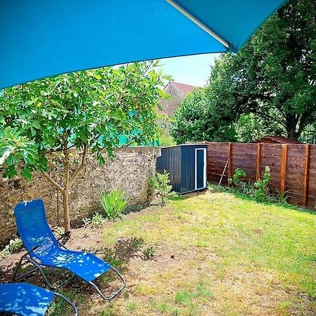Tres Bel Appartement Avec Jardin Et Jacuzzi Scey-sur-Saone-et-Saint-Albin Exterior photo
